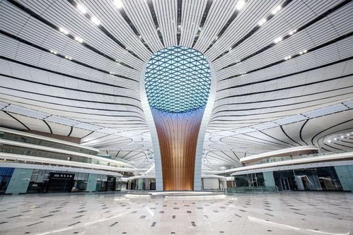 深耕建筑裝飾行業(yè) 寶鷹集團獲兩項中國建設工程魯班獎