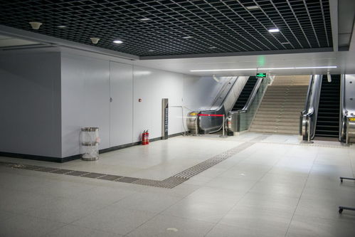 優(yōu)上添 優(yōu) ,匠心 質(zhì) 造丨 中建城建公司喜獲兩項 中國建筑裝飾獎