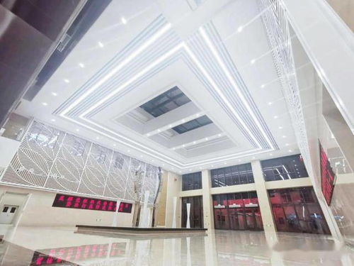 商河縣人民醫院開展 黨建引領項目建設,統籌推進提質見效 主題黨日活動